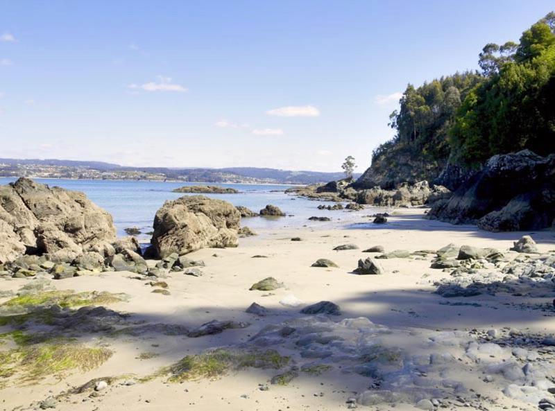 Piso 4 Dormitorios Playa サダ エクステリア 写真